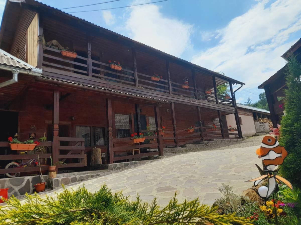 Casa De La Ferma Mariuca Villa Berbesti Exterior foto